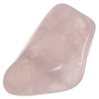 Růženín tromlovaný L