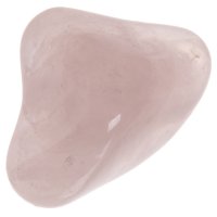 Růženín tromlovaný L