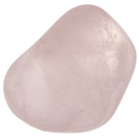 Růženín tromlovaný L