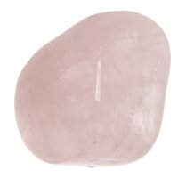 Růženín tromlovaný L