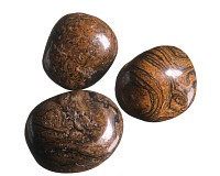 Stromatolit tromlovaný 3 ks
