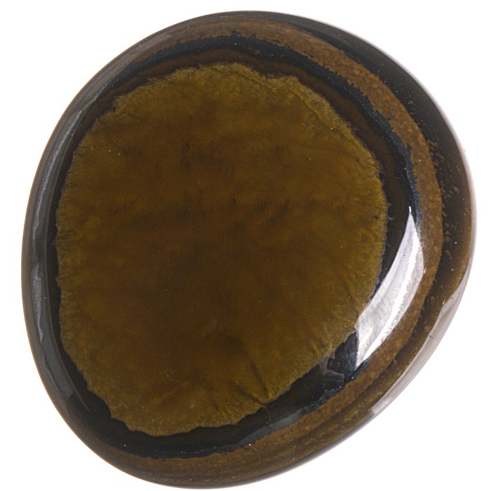 Tygří kůže, tromlovaná placička 26 mm