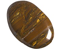 Tygří kůže, tromlovaná placička 43 mm