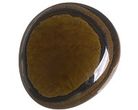 Tygří kůže, tromlovaná placička 26 mm