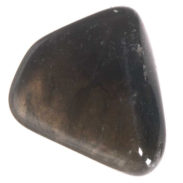 Záhněda tromlovaná M