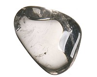 Záhněda tromlovaná M