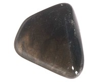 Záhněda tromlovaná M