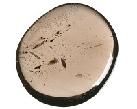 Záhněda, tromlovaná placička 40 mm