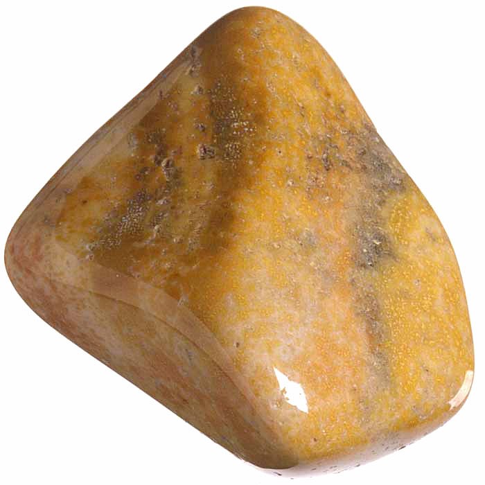 Zkamenělý korál tromlovaný L