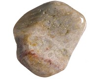 Zkamenělý korál tromlovaný L