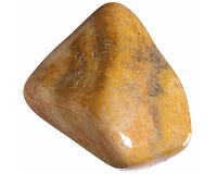 Zkamenělý korál tromlovaný L