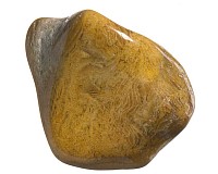 Zkamenělý korál tromlovaný L