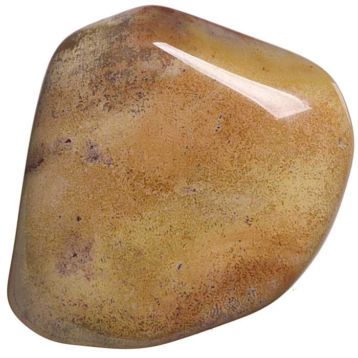 Zkamenělý korál tromlovaný L