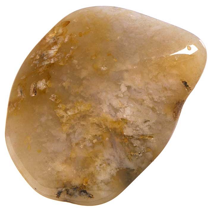 Zkamenělý korál tromlovaný L