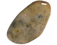 Zkamenělý korál tromlovaný M