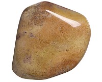 Zkamenělý korál tromlovaný L