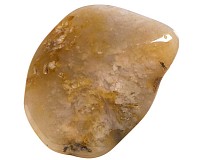 Zkamenělý korál tromlovaný L